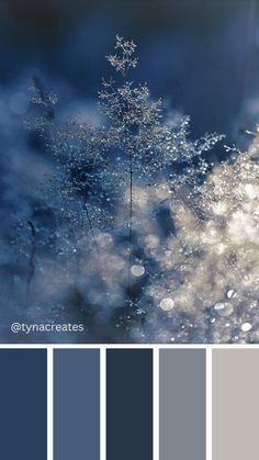 Winter Color Inspiration | Winter Color Palette Blue And Silver Color Scheme, Night Wedding Color Palette, Navy And Silver Color Palette, Metallic Blue Color Palette, Silver Color Palette Colour Schemes, Color Palette Midnight Blue, Silver And Blue Color Palette, Blue Silver Palette, Night Court Color Palette