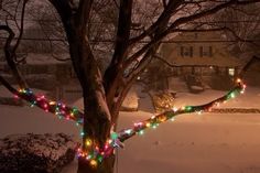 a tree that has some lights on it in the middle of the snow covered yard