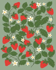 a bunch of strawberries and daisies on a green background