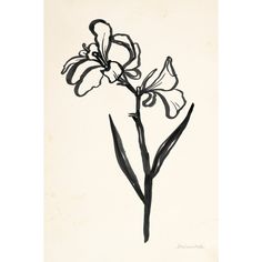 a black and white drawing of some flowers