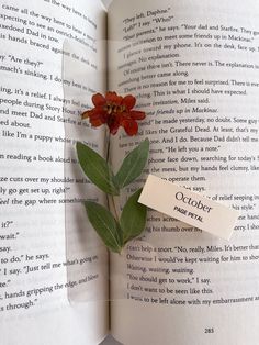 an open book with a red flower on it