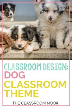 a group of puppies sitting on the floor next to each other with text that reads classroom design dog classroom theme