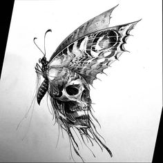 a drawing of a skull with a butterfly on it's head and wings flying through the air