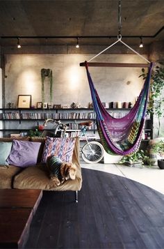 an image of a living room with a hammock hanging from the ceiling and bookshelves