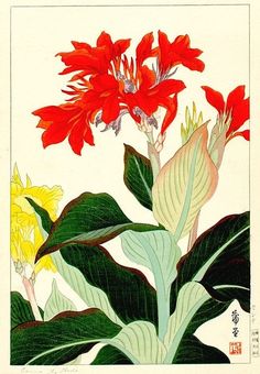 red flowers and green leaves on a white background