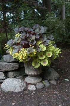 a large vase filled with lots of flowers sitting on top of a pile of rocks