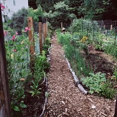 a garden with various plants and flowers growing in the ground next to a fenced off area