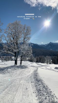 the sun shines brightly over a snowy landscape