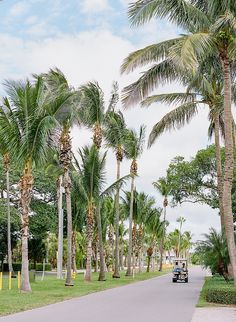 a golf cart driving down a street lined with palm trees and tall, green grass