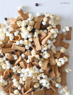 a pile of dog treats sitting on top of a white table next to chocolate chips and marshmallows