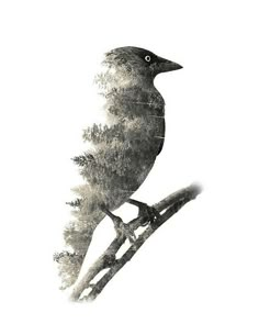 a black and white photo of a bird on a branch with trees in the background