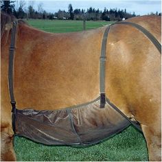 a brown horse with a black bridle on it's face standing in the grass