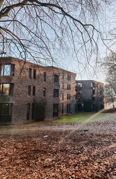 an old brick building with lots of windows on the front and side of it, surrounded by fallen leaves