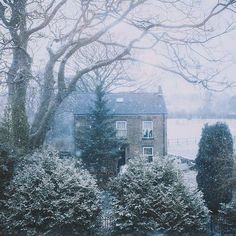 an old brick house surrounded by trees and bushes on a snowy day with snow falling