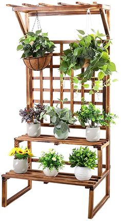 a wooden plant stand filled with potted plants