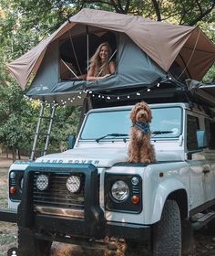 a woman and her dog sitting in the back of a truck with an awning on top