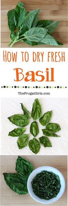 how to dry fresh basil leaves