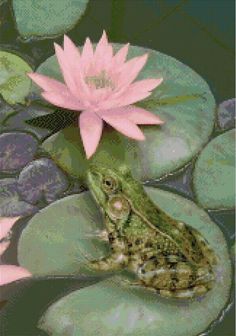 a frog sitting on top of a lily pad