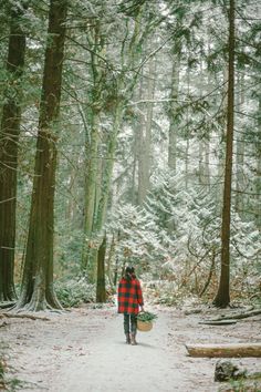 a person walking down a path in the woods with snow on the ground and trees