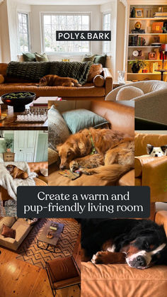 a collage of photos with dogs laying on the couches and living room furniture