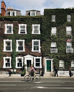 a man riding a bike past a tall building covered in ivy