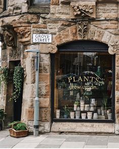 a store front with plants in the window