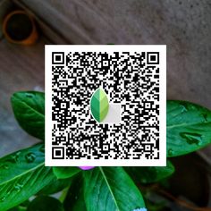 a close up of a plant with a qr code on it