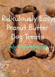 The Simple Life: Ridiculously Easy Peanut Butter Dog Treats Homemade Peanut Butter Dog Treats Recipe, Rambo 3, Dog Treat Recipe, Peanut Butter Dog Treats, Fu Dog, Food Dog, Diy Dog Treats, Puppy Treats, Easy Peanut Butter