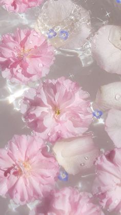 pink flowers floating in water with bubbles