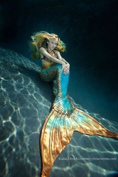 a mermaid sitting on the back of a swimming pool with text that reads, the underwater kiss