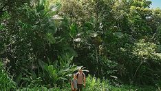 a man standing in the middle of a lush green forest