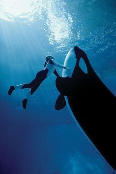 two people are swimming in the ocean with their feet on a surfboard under water