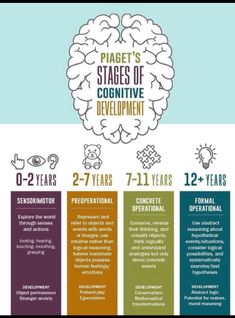 an info sheet describing the stages of creative development