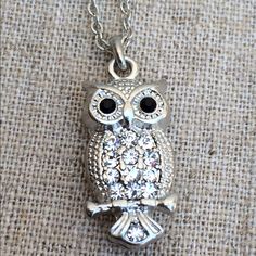 Silver Tone Pendant Necklace Features An Owl Pendant Set With Clear Crystals In The Body And Black Crystal Eyes. Owl Pendant Slides In A Link Pendant Chain With A Lobster Claw Clasp That Measures 18.5 Inches Long. Owl Measures 1 Inch L X 3/8 Inch W. Brooch Style, Crystal Eyes, Elephant Earrings, Crystal Eye, Owl Necklace, Owl Jewelry, Bird Pendant, Owl Bird, Owl Pendant