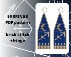 the earrings are designed to look like an image of a bird on a blue background