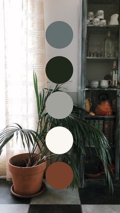 earthy home color palette with greens, greys, and orange. 9 Color Palette, Color Palette Ideas, Palette Ideas, Tips And Tricks, Color Palette, Books, Green, Color, Black