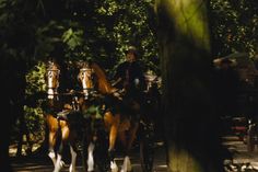 two brown horses pulling a carriage down a path in the woods with people on it