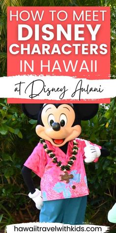 a mickey mouse statue with the words how to meet disney characters in hawaii at disney world