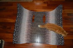 an orange cat laying on top of a rug