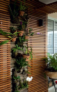 a wooden wall with plants growing on it