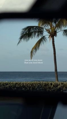 a palm tree sitting next to the ocean with a quote on it's side