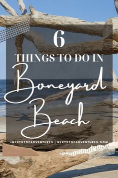 the beach with text that reads 6 things to do in boneyard beach