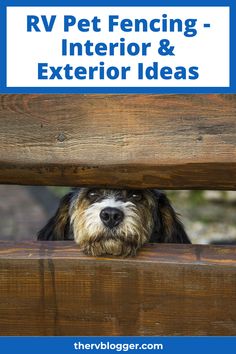 a dog peeking out from behind a wooden bench with the words rv pet fencing, interior & exterior ideas