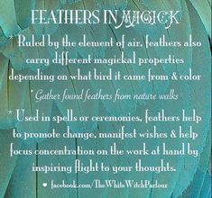 feathers in magick poem written by the wiki wiki group on flickr