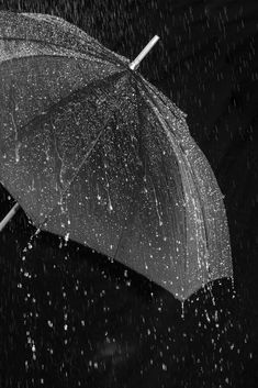 black and white photograph of an open umbrella in the rain with water droplets on it