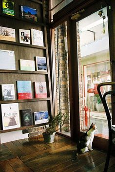 a cat is sitting on the floor in front of a book shelf with many books