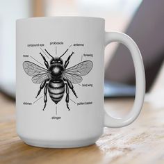 a white coffee mug with a diagram of the parts of a honeybee on it