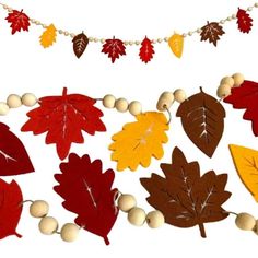 an assortment of autumn leaves and beads on a white background