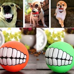 three different pictures of dogs with teeth on them and one has an orange ball in the middle