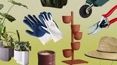 there are many different types of gardening tools on this page, including gloves and plants